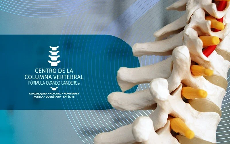 Centro de la Columna Vertebral